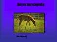 Horses Encyclopedia PowerPoint PPT Presentation