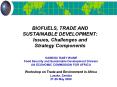 BIOFUELS, TRADE AND SUSTAINABLE DEVELOPMENT: Issues, Challenges and Strategy Components PowerPoint PPT Presentation