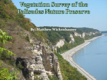 Vegetation Survey of the Palisades Nature Preserve
