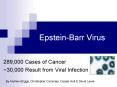 EpsteinBarr Virus PowerPoint PPT Presentation