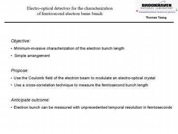 Electrooptical detectors for the characterization