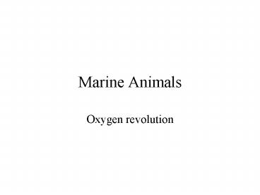 Marine Animals
