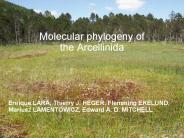 Molecular%20phylogeny%20of%20the%20Arcellinida