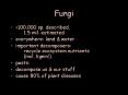 Fungi PowerPoint PPT Presentation