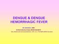 DENGUE PowerPoint PPT Presentation