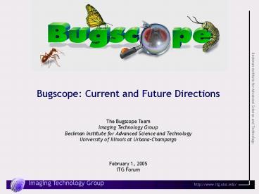 LumpkinBugscope Talk
