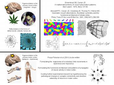 geometric visual hallucinations, euclidean symmetry and the