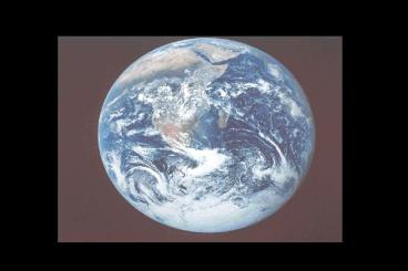 www'geo'utep'edu pub hurtado2412