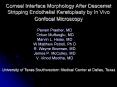 Corneal Interface Morphology After Descemet Stripping Endothelial Keratoplasty by In Vivo Confocal M PowerPoint PPT Presentation