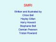 SMRI PowerPoint PPT Presentation