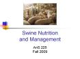 Swine Nutrition and Management PowerPoint PPT Presentation