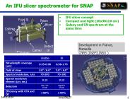 An IFU slicer spectrometer for SNAP