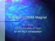 Status%20of%20COBRA%20Magnet