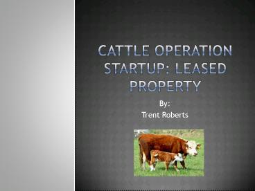Cattle Operation Startup: Leased Property
