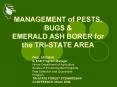 MANAGEMENT of PESTS, BUGS PowerPoint PPT Presentation