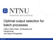Optimal output selection for batch processes
