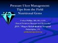 Pressure Ulcer Management: Tips from the Field Nutritional Gems PowerPoint PPT Presentation