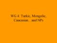 WG 4: Turkic, Mongolic, Caucasian... and NPs PowerPoint PPT Presentation