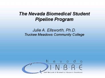 presentation player overlay