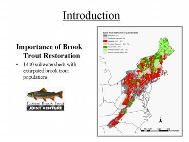 Importance of Brook Trout Restoration