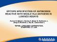 EPITOPE SPECIFICITIES OF ANTIBODIES REACTIVE WITH SINGLE HLA ANTIGENS IN LUMINEX ASSAYS PowerPoint PPT Presentation