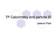 TP Calorimetry and particle ID