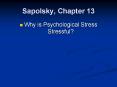 Sapolsky, Chapter 13 PowerPoint PPT Presentation