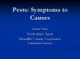 Pests: Symptoms to Causes PowerPoint PPT Presentation