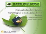 Strategic Sustainability Systems: