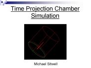Time Projection Chamber Simulation