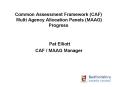 Common Assessment Framework CAF Multi Agency Allocation Panels MAAG Progress PowerPoint PPT Presentation