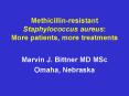 Methicillinresistant Staphylococcus aureus: More patients, more treatments PowerPoint PPT Presentation