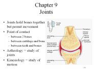 Chapter%209%20Joints