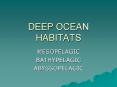 DEEP OCEAN HABITATS PowerPoint PPT Presentation