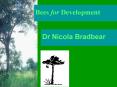 Bees for Development PowerPoint PPT Presentation