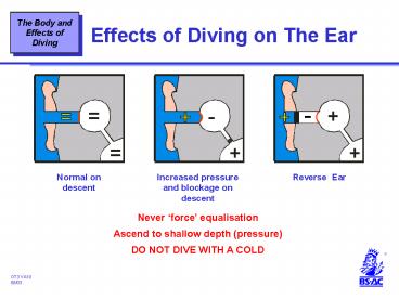 Effects of Diving on The Ear
