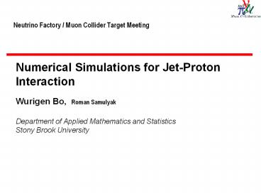Neutrino Factory / Muon Collider Target Meeting