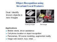 Object Recognition using Invariant Local Features
