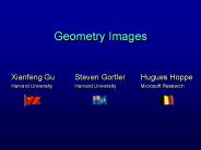 Geometry Images