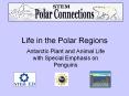 Life in the Polar Regions PowerPoint PPT Presentation
