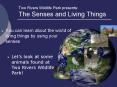 Two Rivers Wildlife Park presents: The Senses and Living Things PowerPoint PPT Presentation