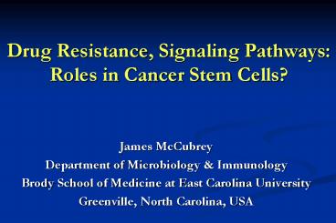 Drug Resistance, Signaling Pathways: Roles in Cancer Stem Cells