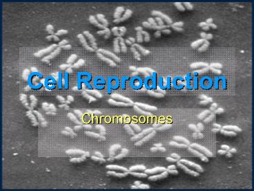 Cell Reproduction