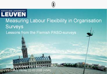 Measuring Labour Flexibility in Organisation Surveys