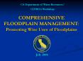 COMPREHENSIVE FLOODPLAIN MANAGEMENT: Promoting Wise Uses of Floodplains PowerPoint PPT Presentation
