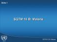 SGTM 16B Malaria PowerPoint PPT Presentation