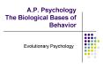 A'P' Psychology The Biological Bases of Behavior PowerPoint PPT Presentation