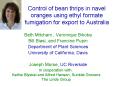 Control of bean thrips in navel oranges using ethyl formate fumigation for export to Australia PowerPoint PPT Presentation