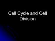 Cell Cycle and Cell Division