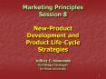 Marketing Principles Session 8 NewProduct Development and Product LifeCycle Strategies PowerPoint PPT Presentation